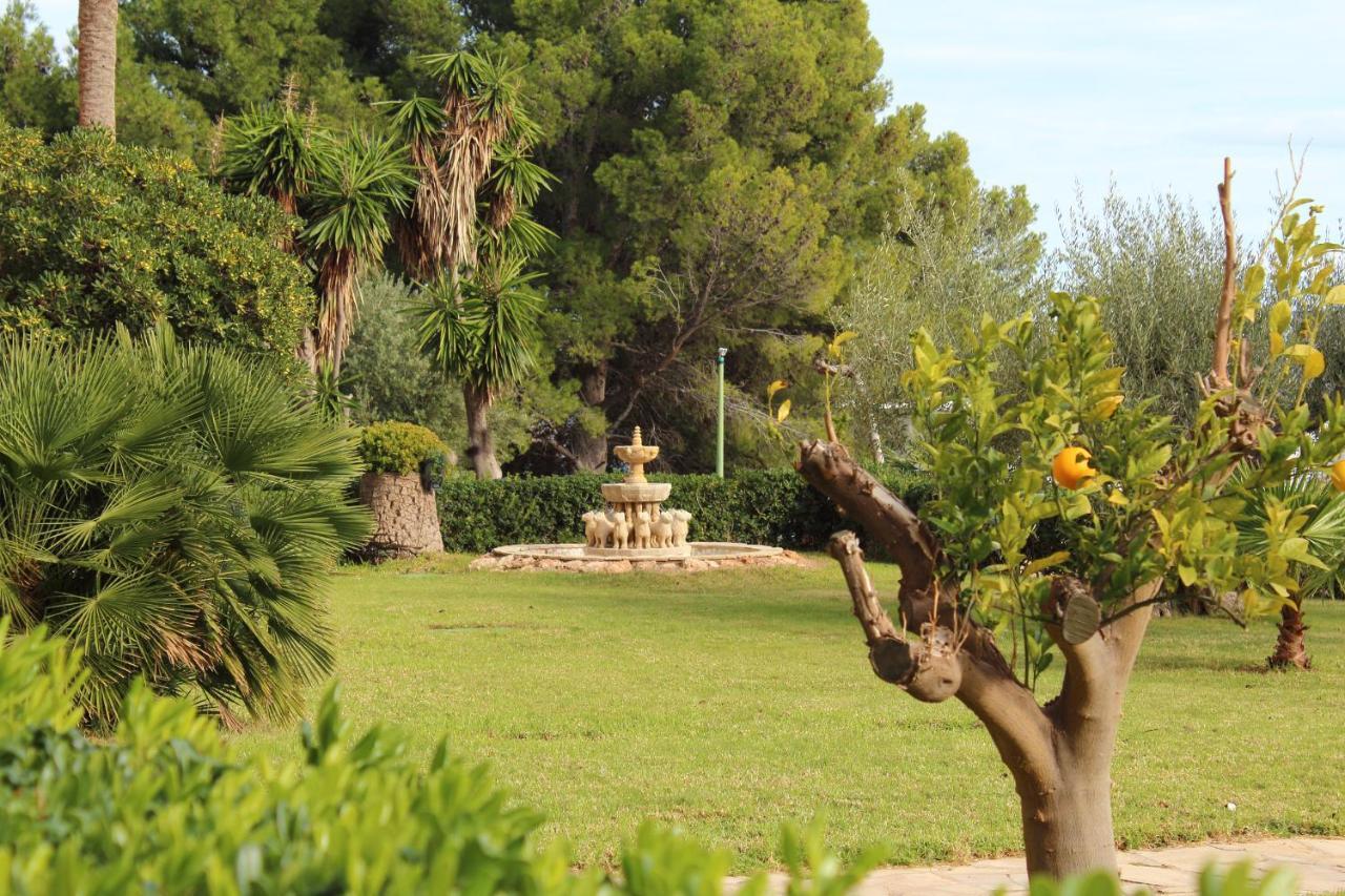 Sunrise Studio Miro, Vistas Jardin Y Mar 迈阿密普拉特亚 外观 照片